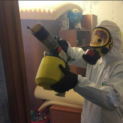 Уничтожение клопов в квартире. Алтуфьевo 